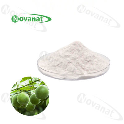 qualidade  Water Soluble Monk Fruit Extract Powder 50% Mogroside V Natural Sweetener Clean Label Fábrica