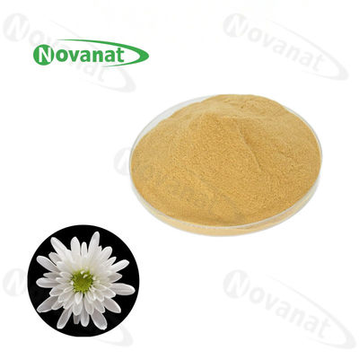 qualidade  Pure Hangzhou White Chrysanthemum Extract Powder Water Soluble/Food and beverage Fábrica