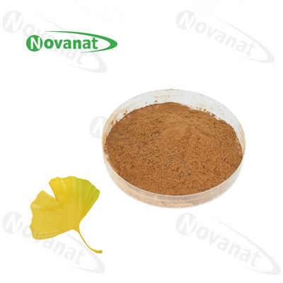 qualidade  100% Nature Gingko Biloba Leaf Extract Powder/USP/E.P/CP15/Dietary Supplements Ingredients Fábrica