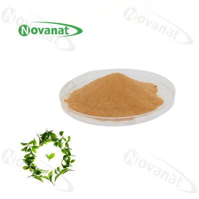 qualidade  100% Natural Extract Green Tea L-Theanine 20% / 30% / 40% Natural L-Theanine Fábrica