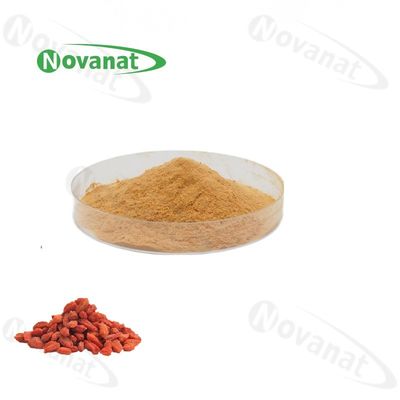qualidade  Organic Goji Berry Extract Powder 20% - 50% Polysaccharides / Water Soluble / Clean Label Fábrica