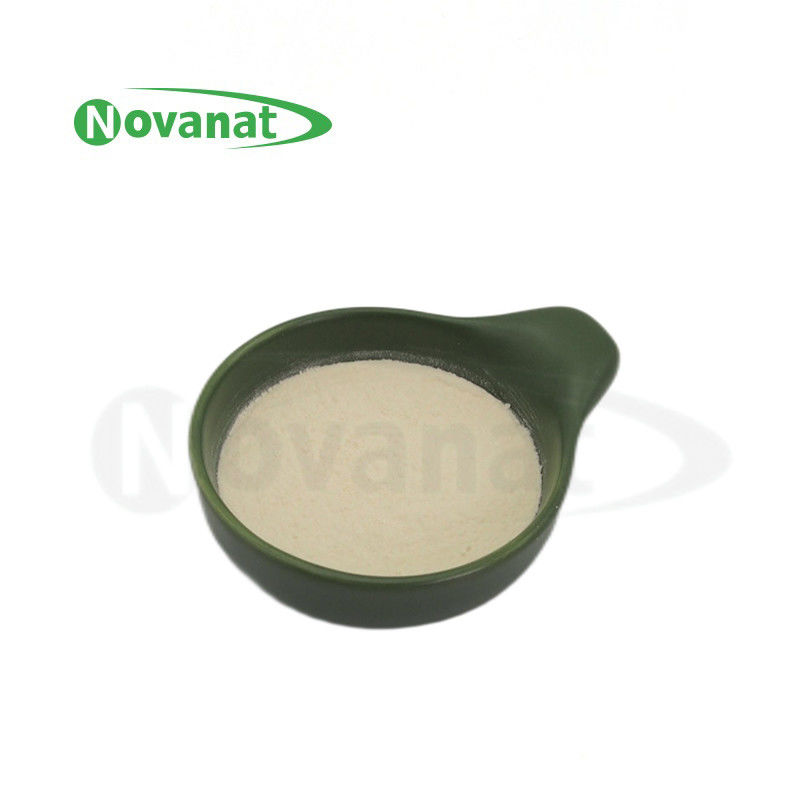 Lacticaseibacillus Paracasei LPC28 / 400billion CFU/g / Vegan / Allergen Free / Gluten Free / Dairy Free