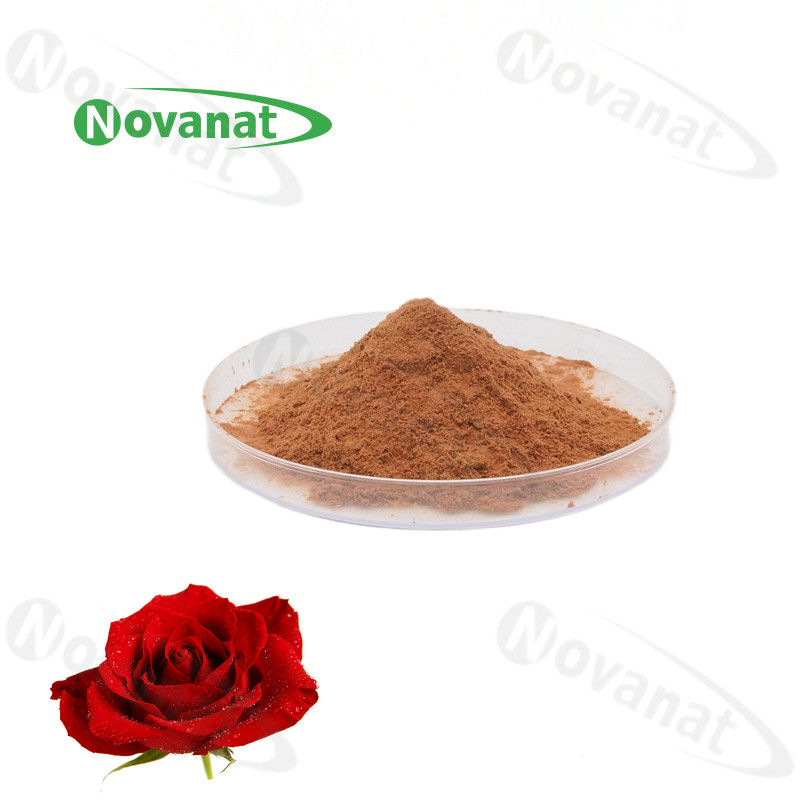Antifatigue Rose Flower Extract Powder 4/120% And 25% Polyphenols/Food Beverage
