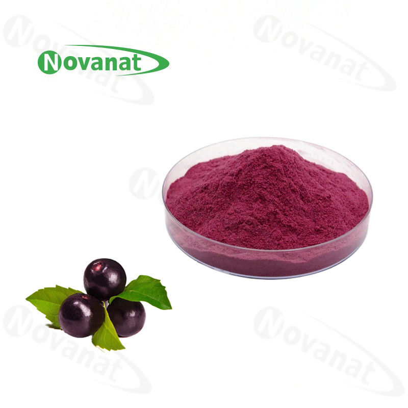Acai Berry Extract Anthocyanidins Herbal Extract Powder Powerful Antioxidants /Clean Label