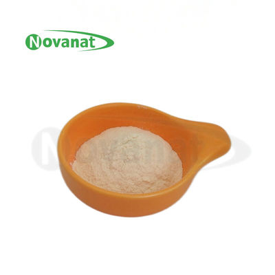 Pediococcus Acidilactici PA10 500bilhões CFU/g Probióticos em pó Vegano/Livre de Alergênios/Livre de Gluteno/Livre de Lácteos