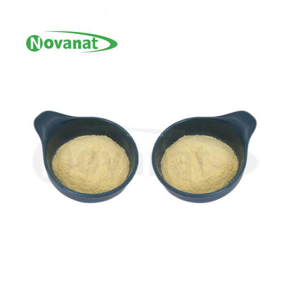 Lactiplantibacillus plantarum LP- Only Postbiotics Powder Tyndallized / Vegano / isento de alérgenos / isento de glúten / isento de laticínios