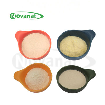 Lactiplantibacillus plantarum LP-Only Probióticos em pó Vegano / isento de alérgenos / isento de glúten / isento de laticínios