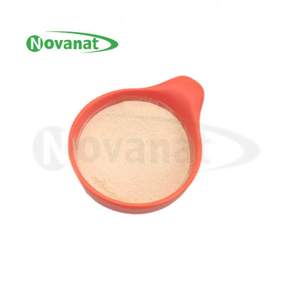Bifidobacterium animalis subsp. lactis BI516 Pó de pós-bióticos Tindalizado / Vegano / Sem Alérgenos / Sem Glúten / Sem Laticínios